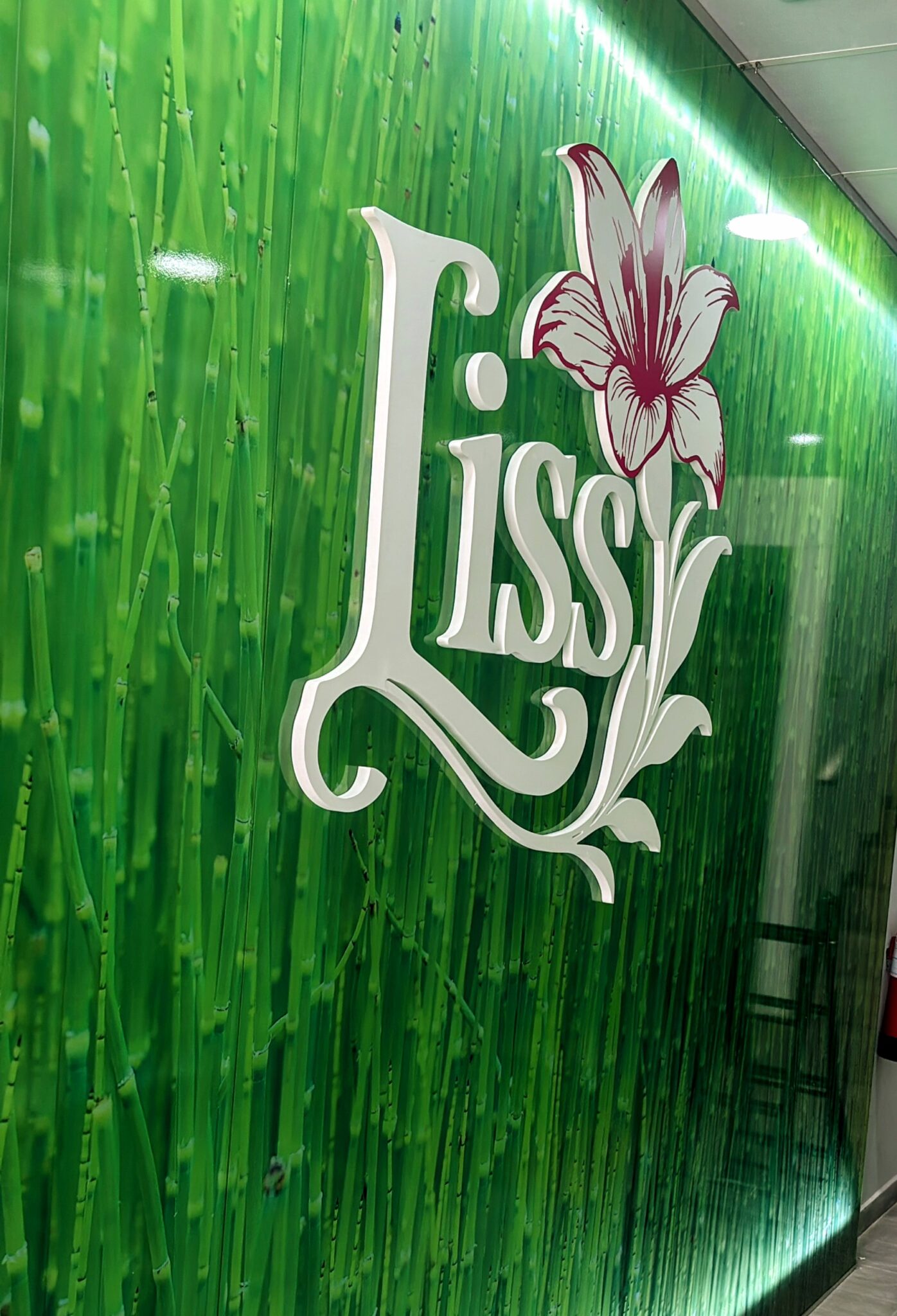 Liss Estética & Depilación Burgos d29bc9dd 9ce2 4b80 a5e1 ea1615445e54